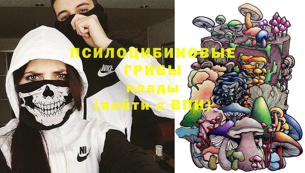 каннабис Дмитров